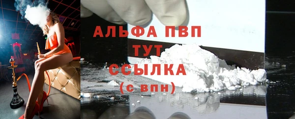 прущие грибы Козловка