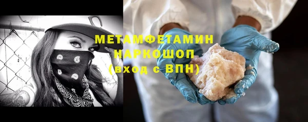 прущие грибы Козловка