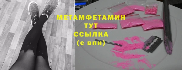 прущие грибы Козловка