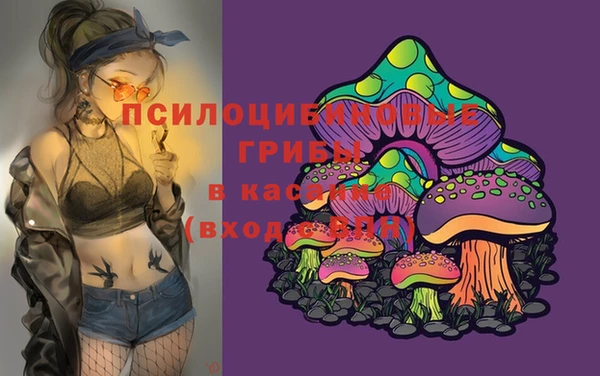амфетамин Козельск