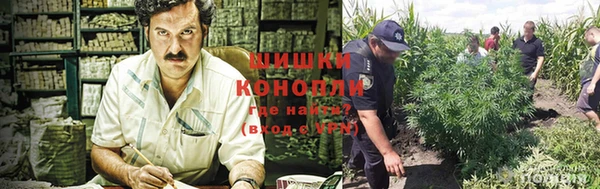 дистиллят марихуана Кодинск