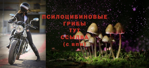 амфетамин Козельск