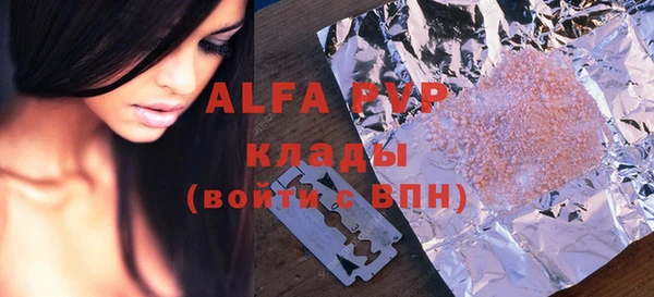 прущие грибы Козловка