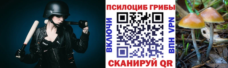 Галлюциногенные грибы Psilocybine cubensis  Купить  Среднеколымск 